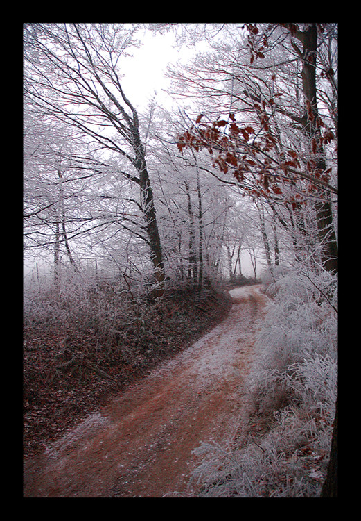 ..Winterlandschaften..