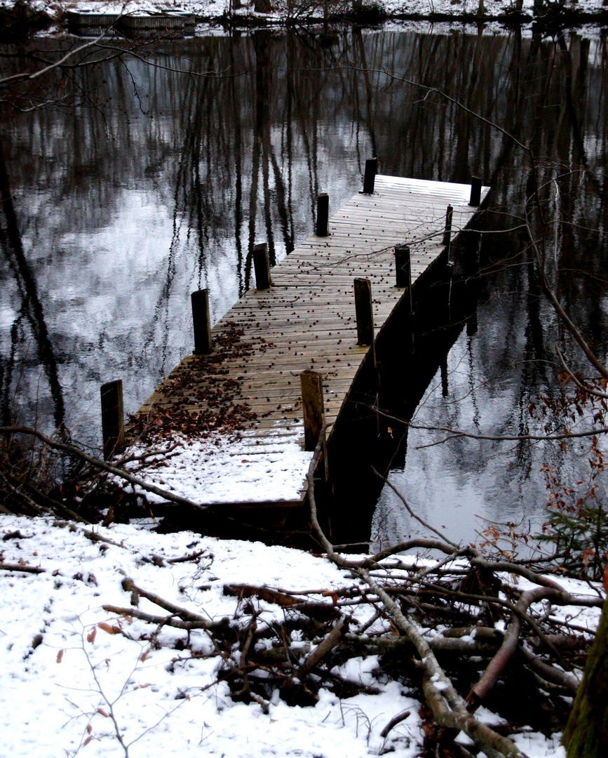 Winterlandschaften - Die Brücke