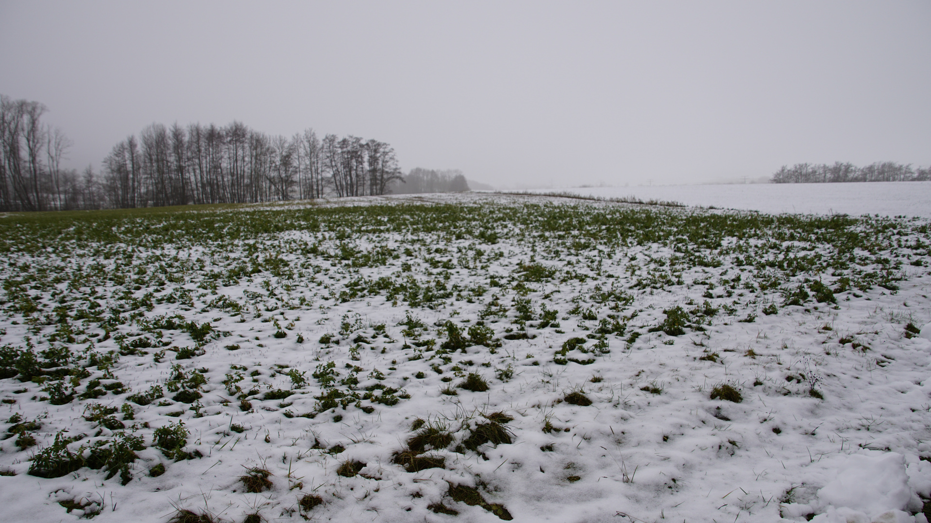 Winterlandschaften