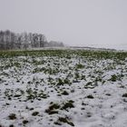 Winterlandschaften