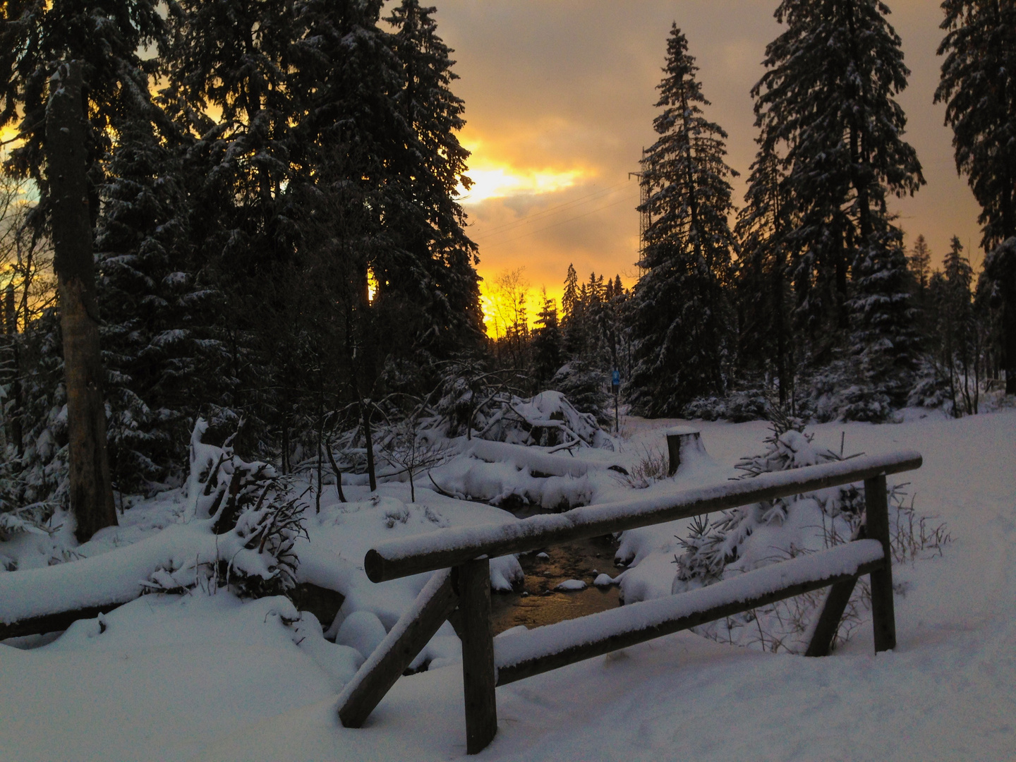 Winterlandschaft_Harz