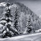 winterlandschaft_in_samnaun