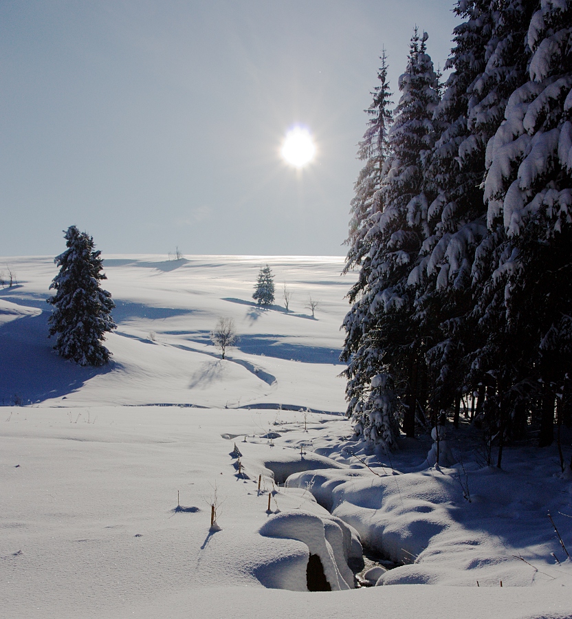 Winterlandschft bei Hermsdorf