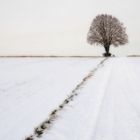 Winterlandschft mit Baum