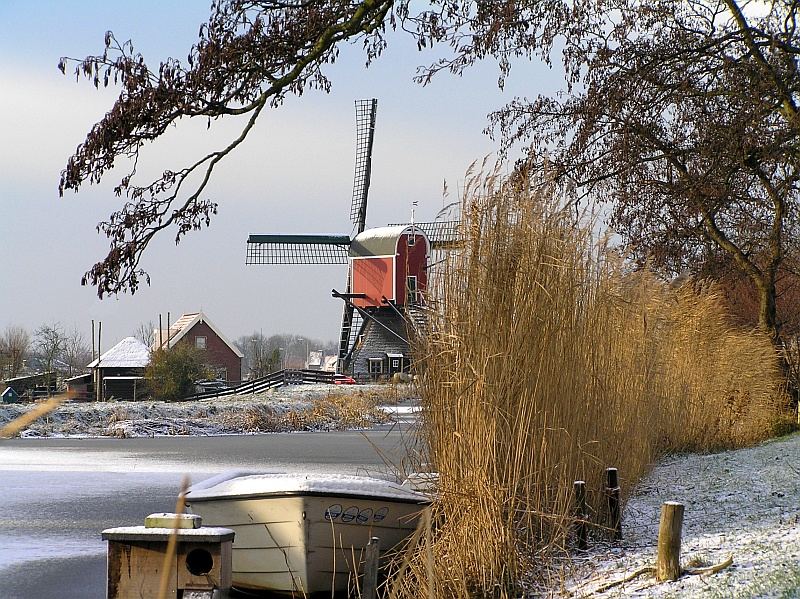 Winterlandshaft im Holland