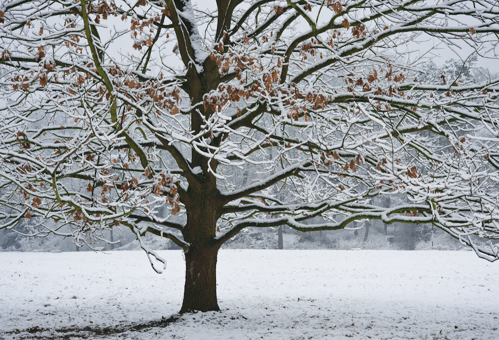 Winterlaub