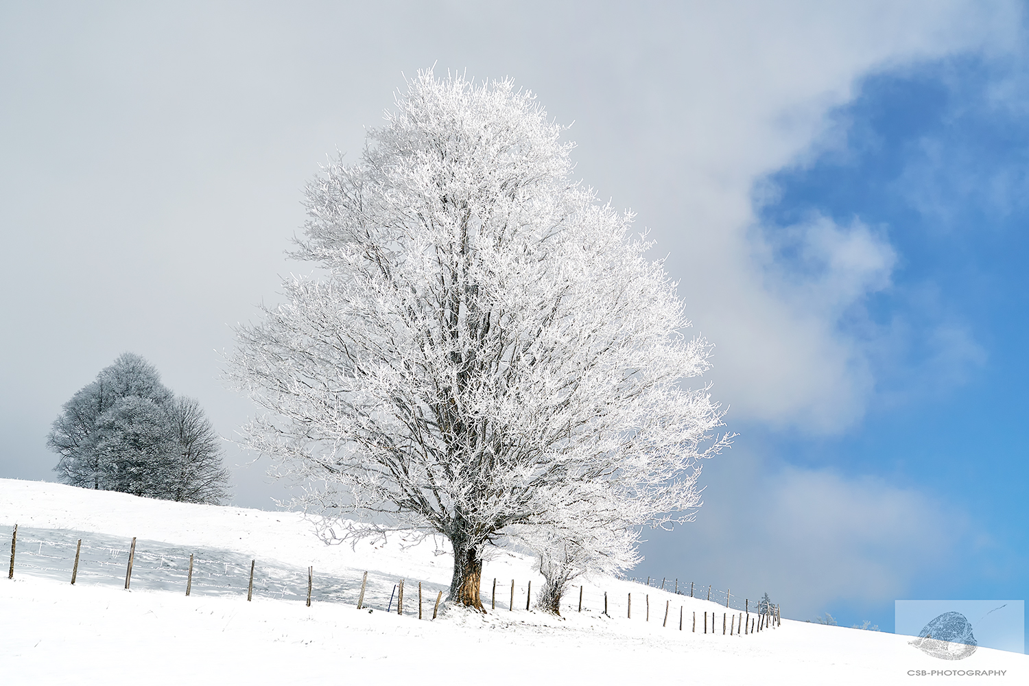 Winterleuchten