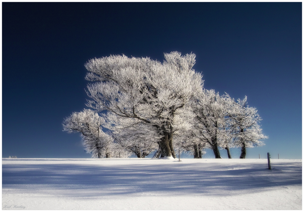 Winterleuchten