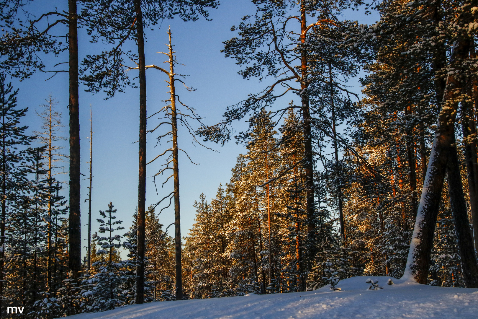 Winterleuchten