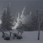 Winterleuchten bei Nacht und Nebel