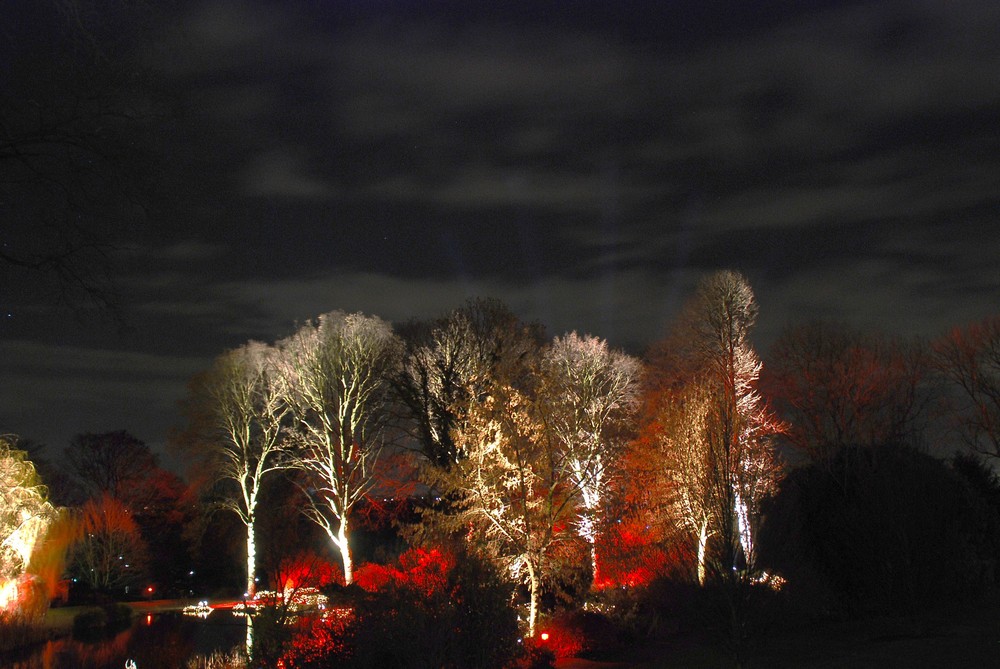 Winterleuchten im Westfalenpark