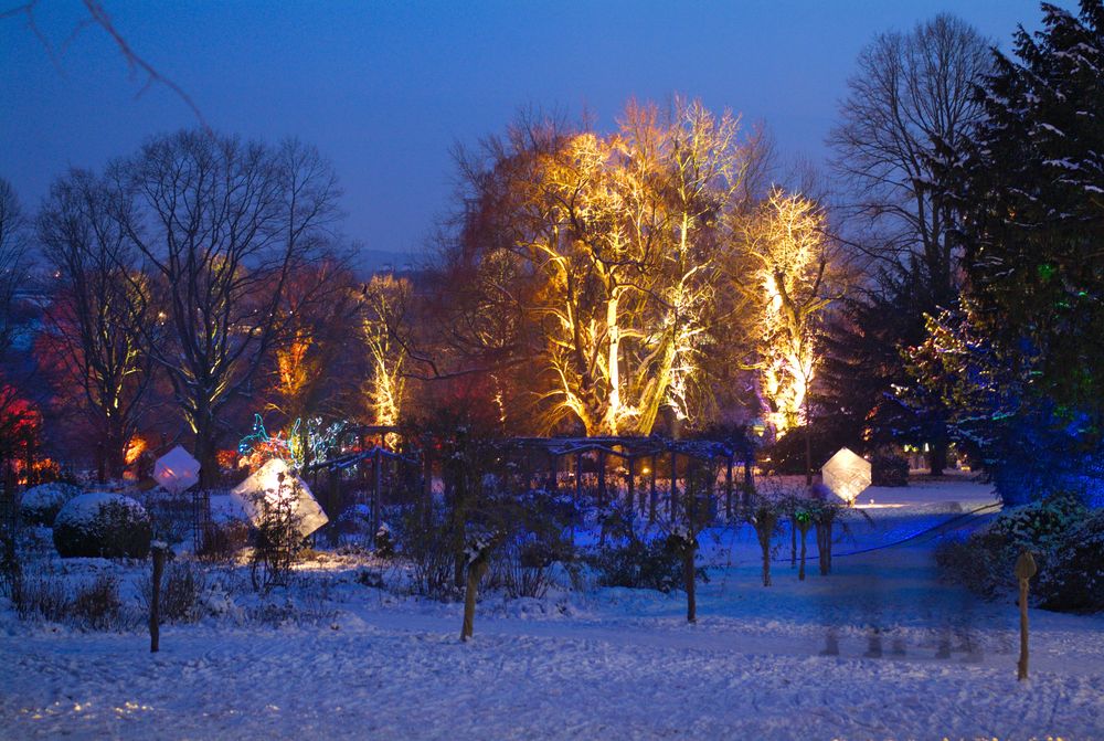 Winterleuchten im Westfalenpark Dortmund