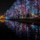 Winterleuchten im Westfalenpark