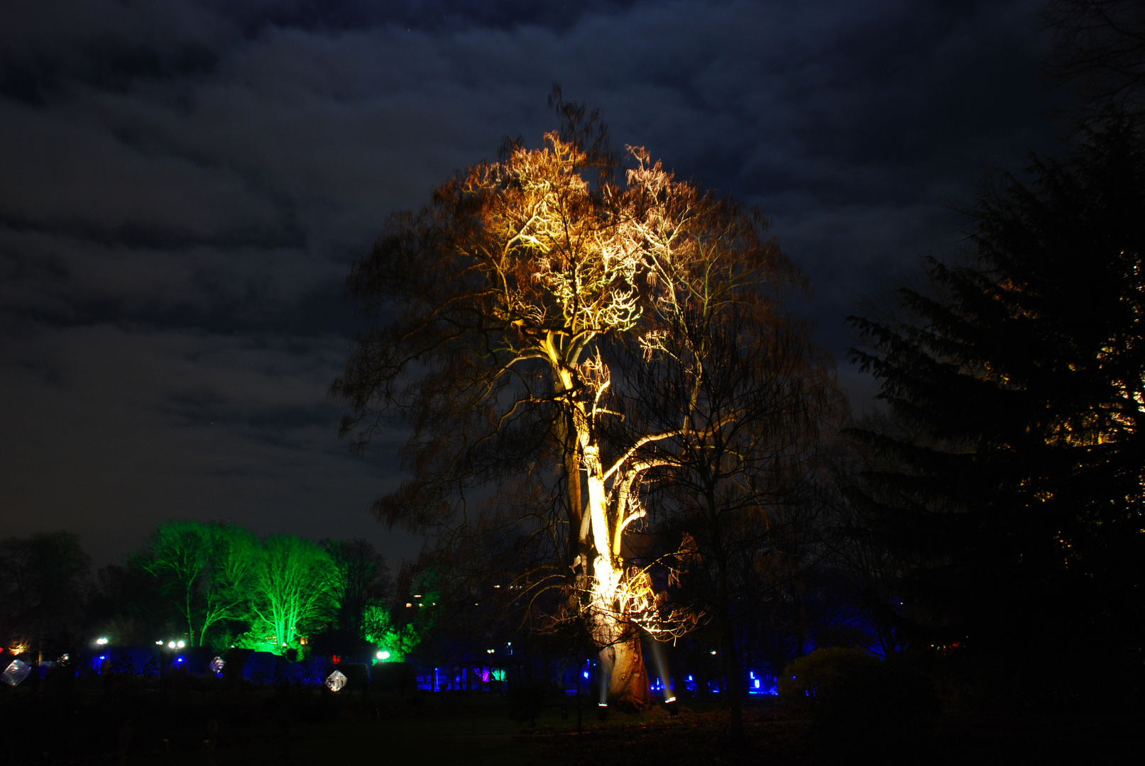 Winterleuchten im Westfalenpark