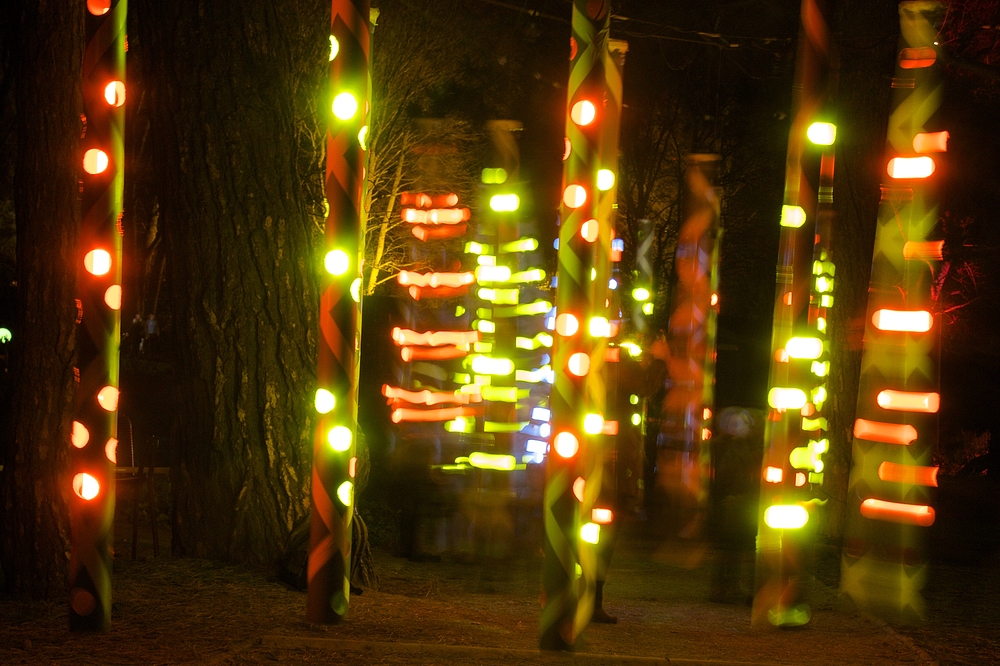 Winterleuchten - Licht in Bewegung I