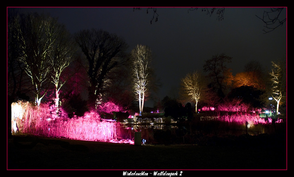 Winterleuchten - Westfalenpark 2