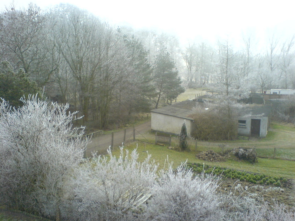 Winterlich