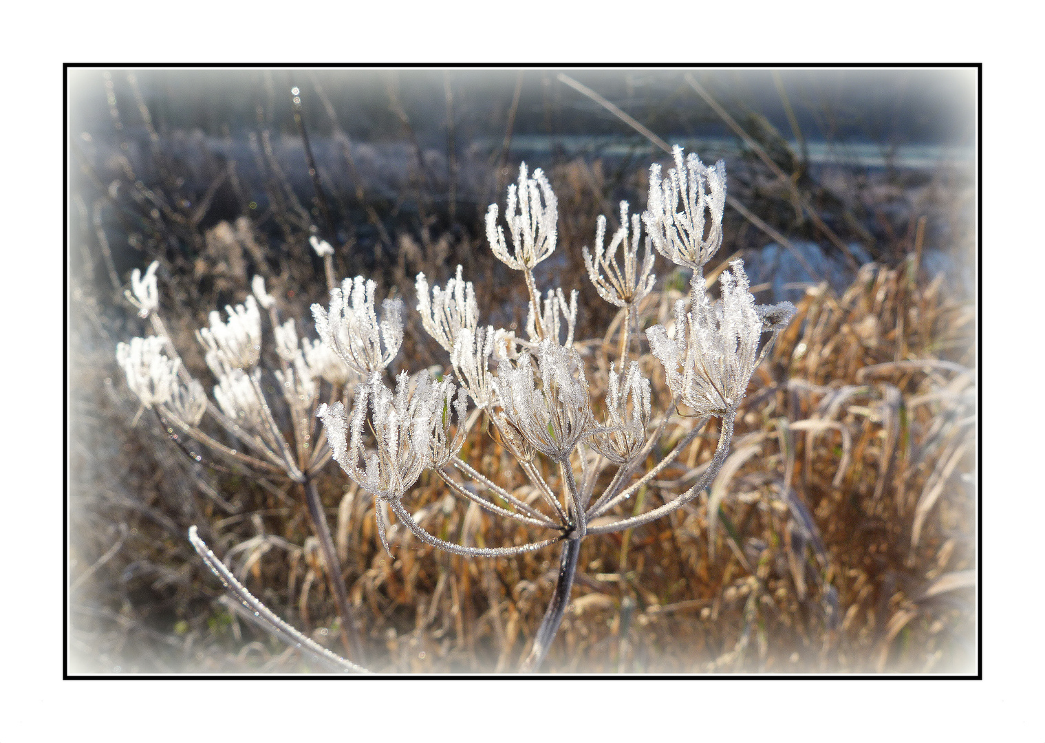 winterlich am Bach...