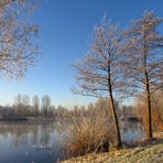 Winterlich am See