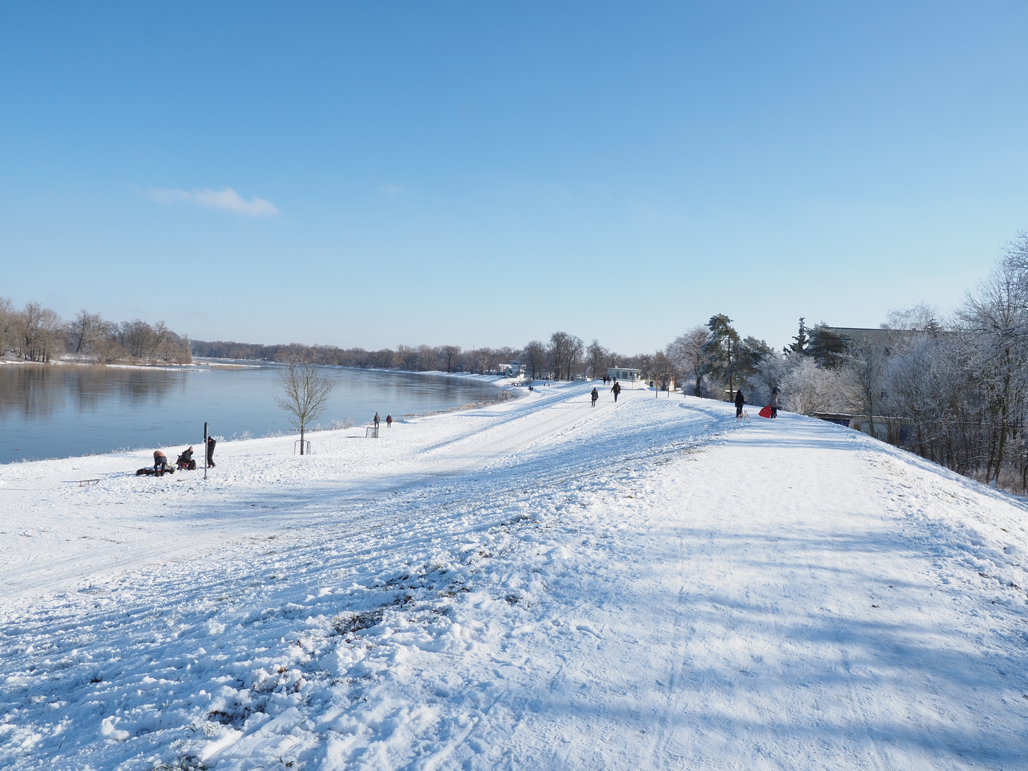 Winterlich an der Elbe 