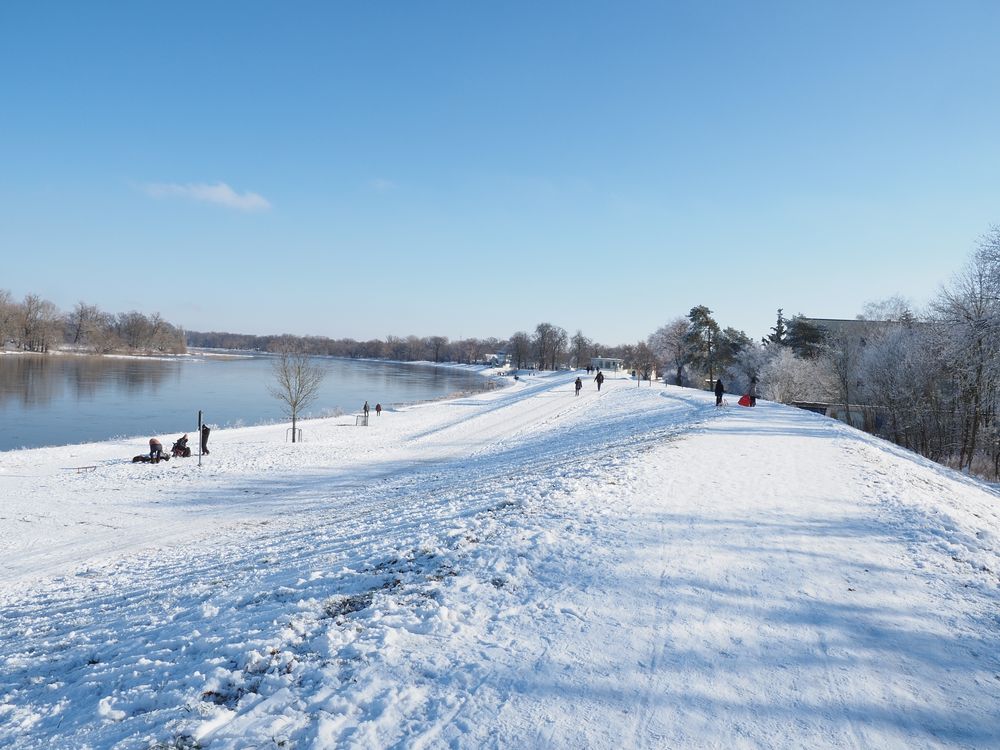 Winterlich an der Elbe 