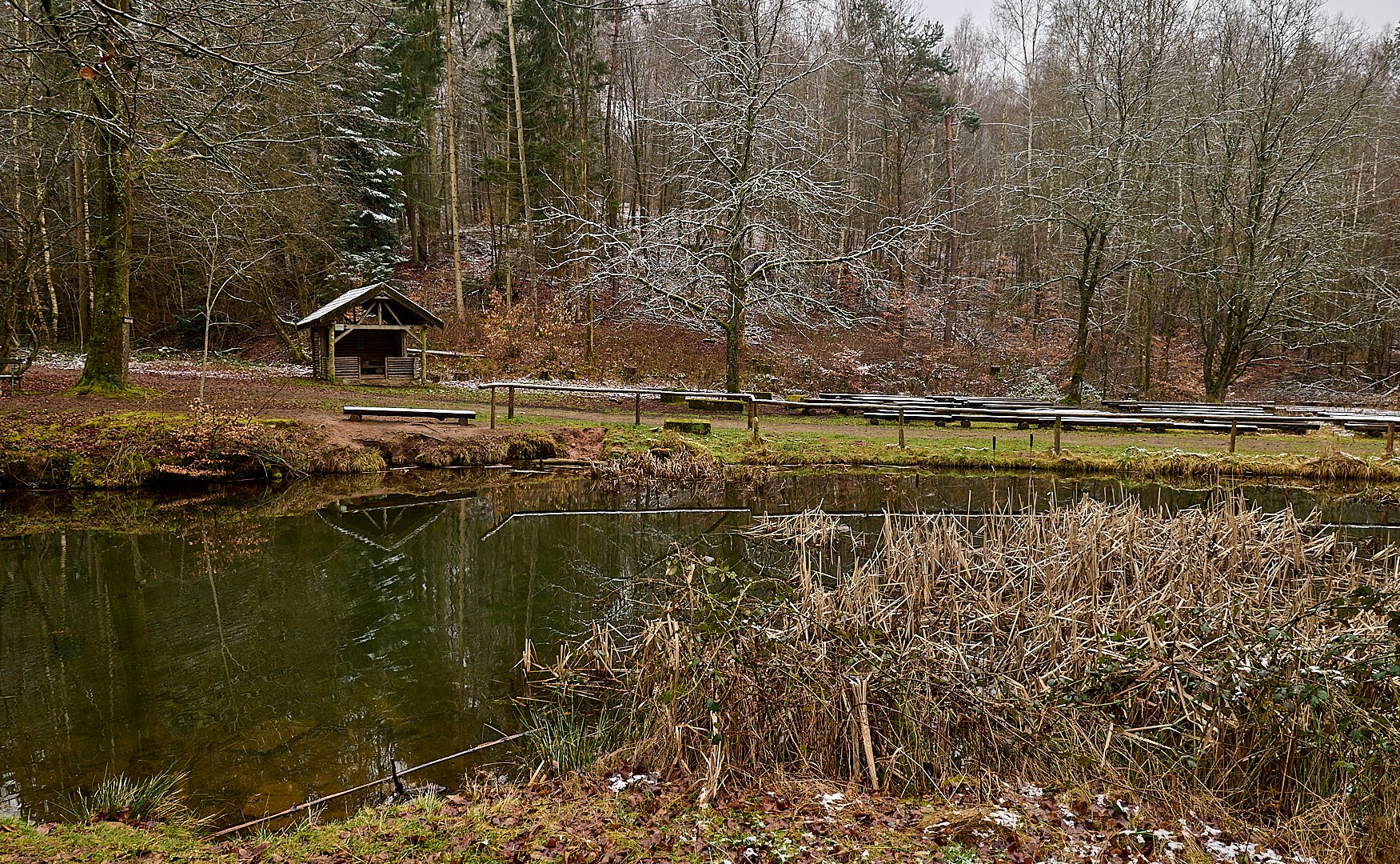 Winterlich angehaucht zeigt sich der Felsenweiher, auch Ruhetalweiher genannt...