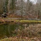 Winterlich angehaucht zeigt sich der Felsenweiher, auch Ruhetalweiher genannt...