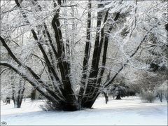 Winterlich angezogen...