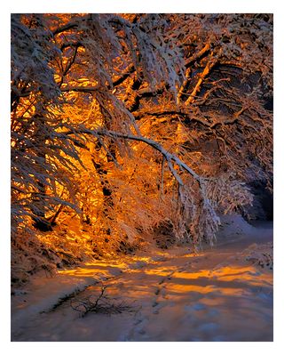 Winterlich beleuchtet - Take 2