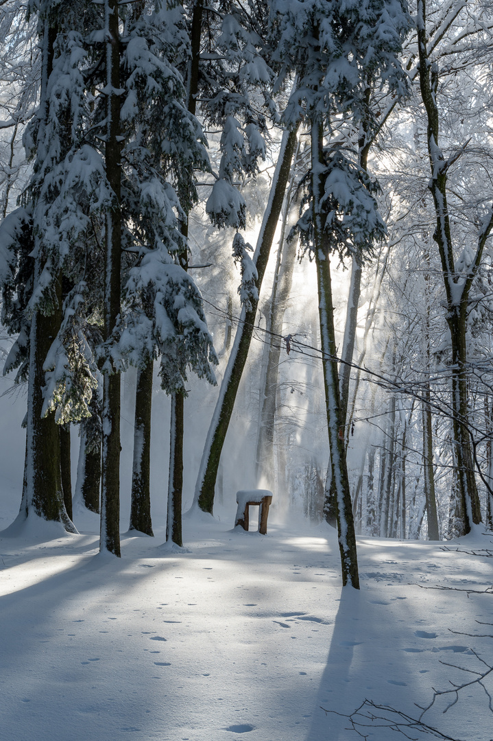 Winterlich gedeckter Tisch