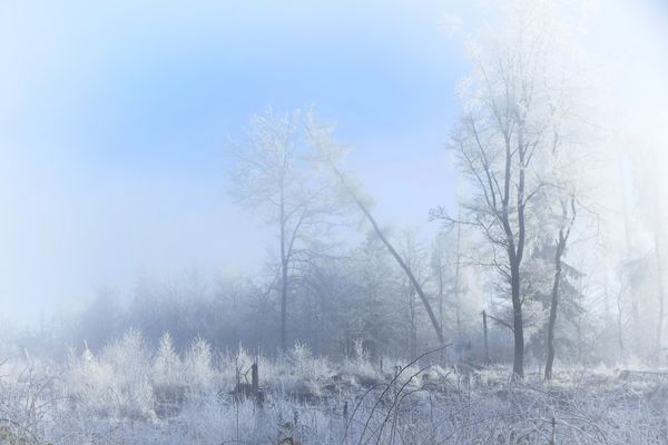 Winterlich - Harmonisch - Verträumt