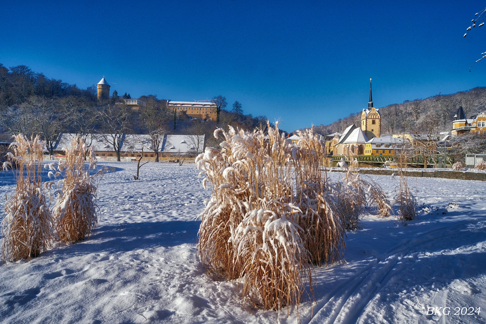 Winterlich - Hofwiesenpark Gera 