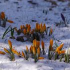 Winterlich im Frühling