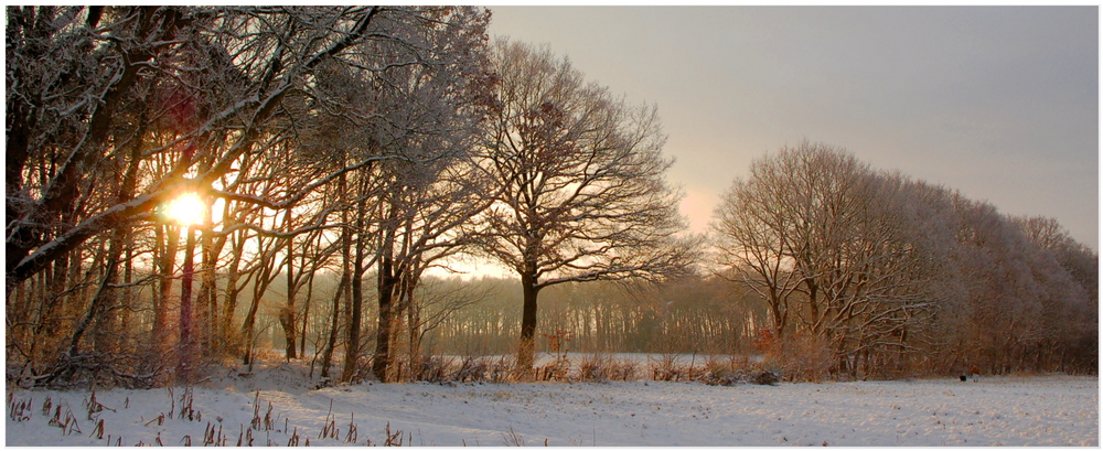 Winterlich präsentiert...