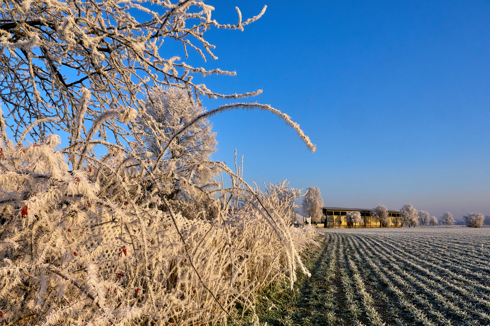 winterlich umrahmter Tabakschuppen 