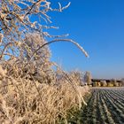 winterlich umrahmter Tabakschuppen 