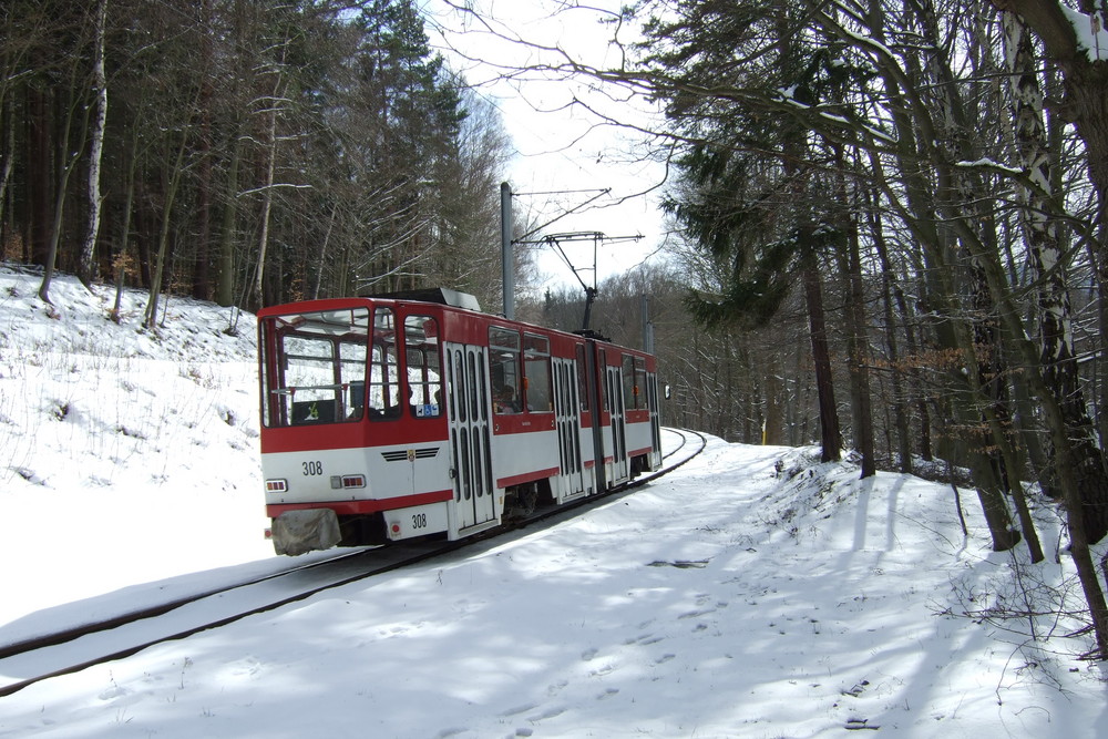 Winterlich und trotzem top gepflegt