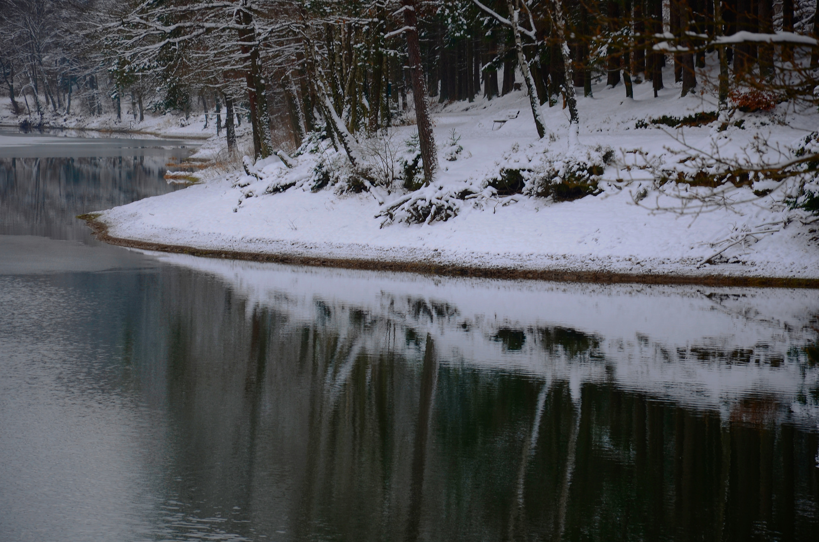 winterlich verschneites Seeufer