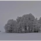 ... winterlich versteckt... das Kirchlein in den Feldern...