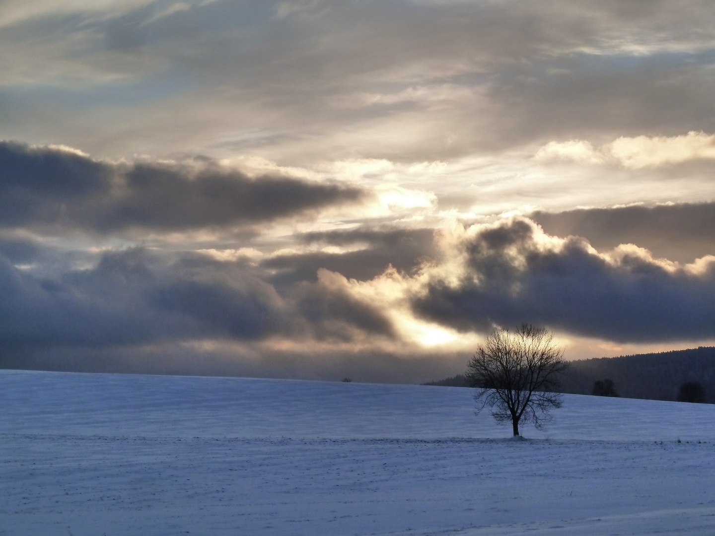 Winterliche Abendstimmung