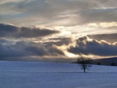 Winterliche Abendstimmung