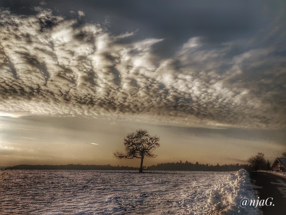 Winterliche Abendstimmung 