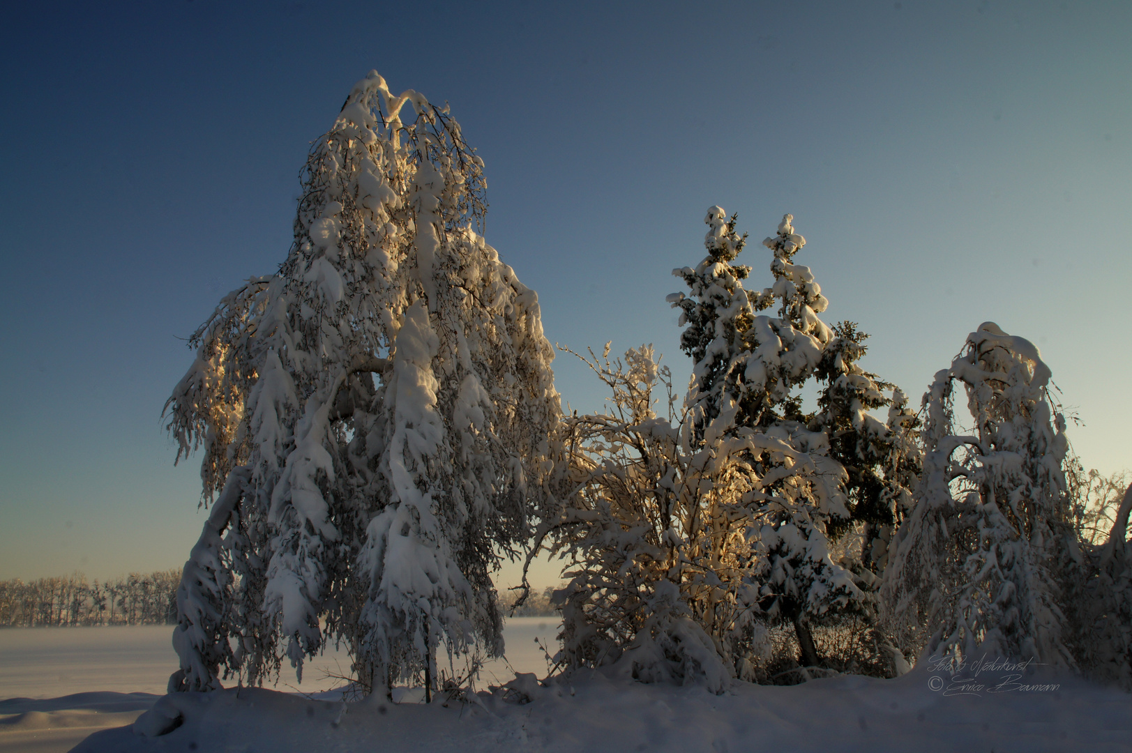 Winterliche Abendstimmung