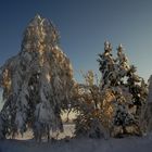 Winterliche Abendstimmung