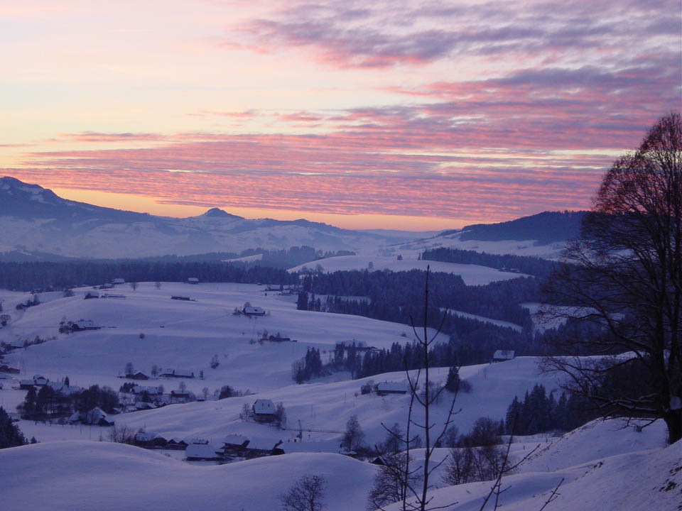 Winterliche Abendstimmung