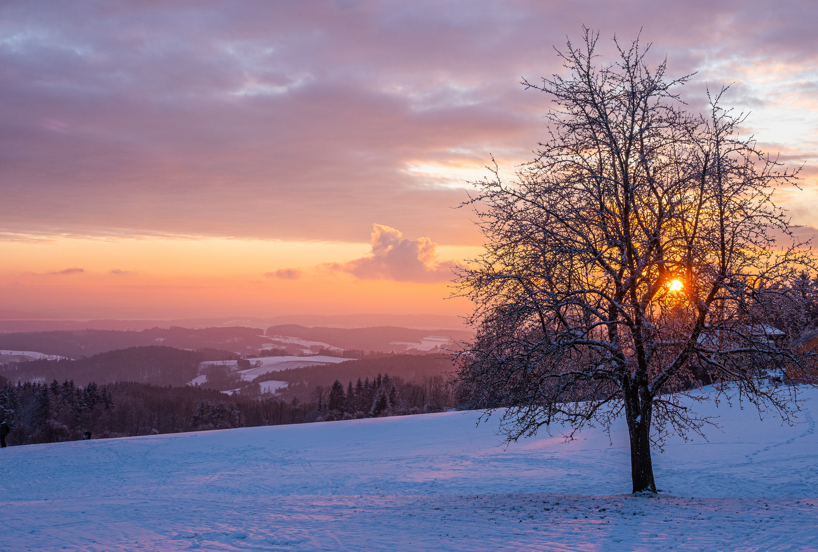 Winterliche Abendstimmung