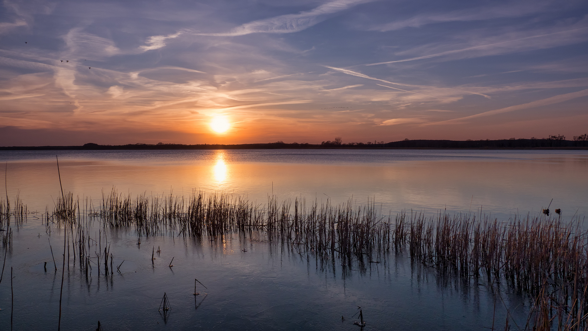 Winterliche Abendstimmung