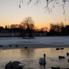 Winterliche Abendstimmung am See