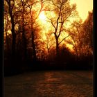 Winterliche Abendstimmung am See