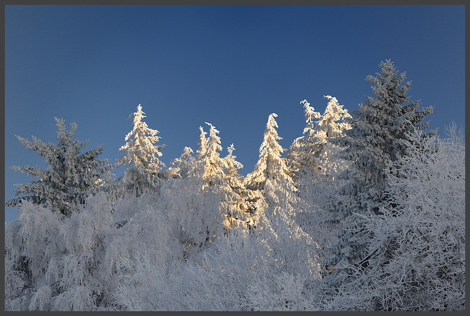 Winterliche Abendstimmung auf der Hohen Acht